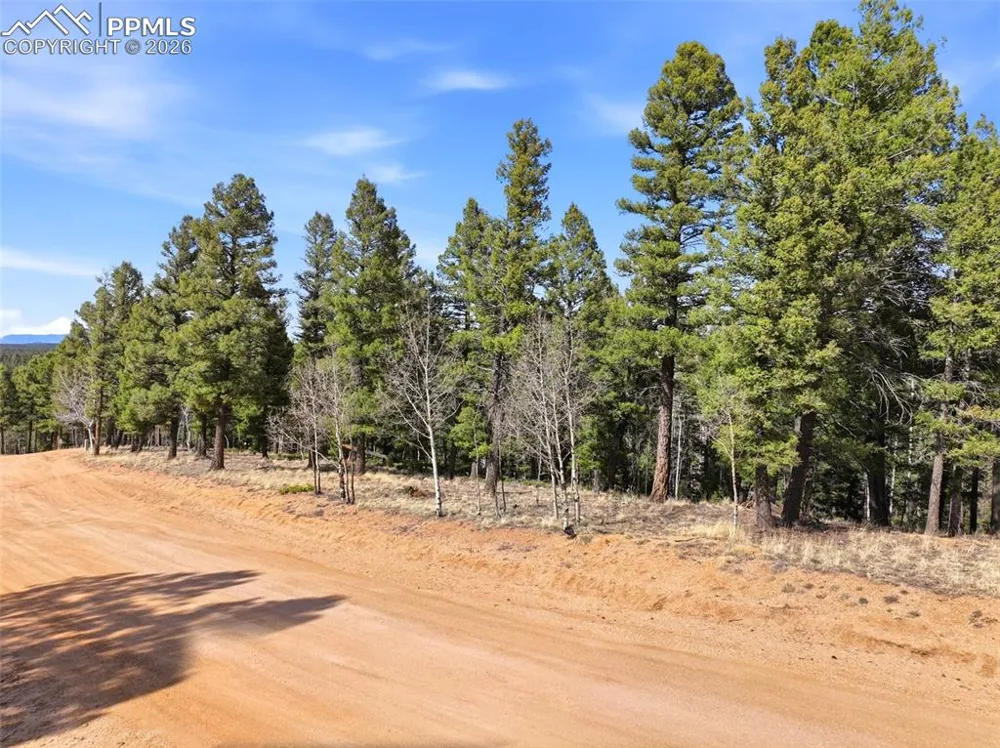 278 Cherry Lake Drive Divide, CO 80814