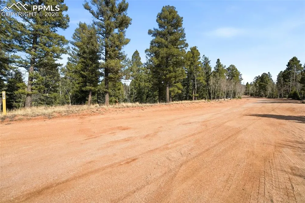 278 Cherry Lake Drive Divide, CO 80814