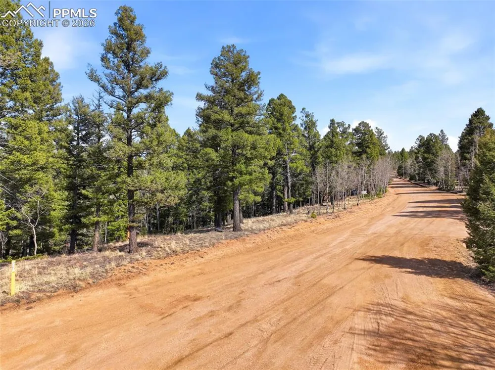 278 Cherry Lake Drive Divide, CO 80814