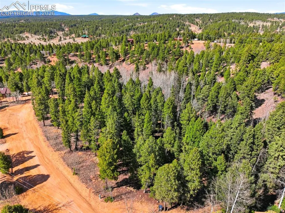 278 Cherry Lake Drive Divide, CO 80814