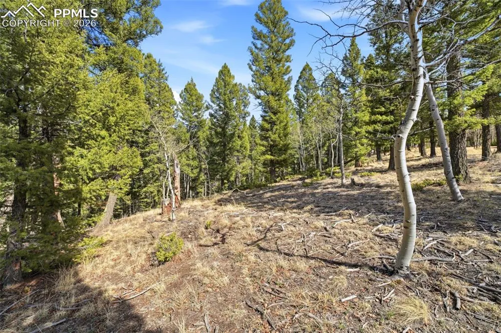 278 Cherry Lake Drive Divide, CO 80814