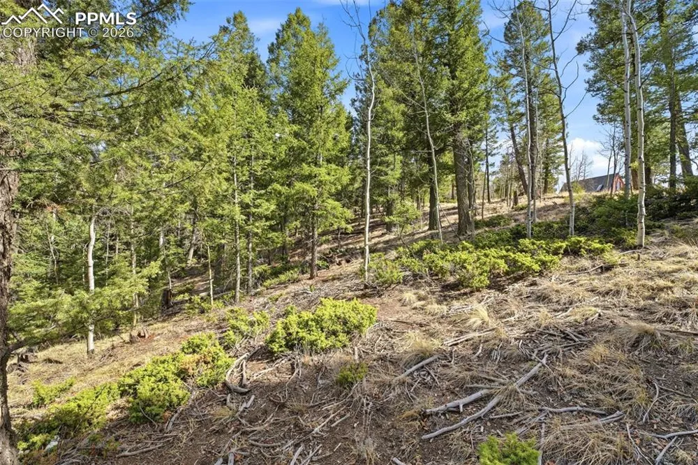 278 Cherry Lake Drive Divide, CO 80814