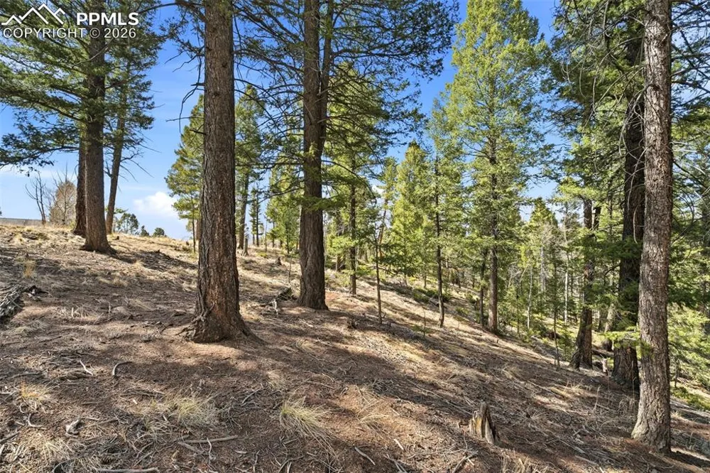 278 Cherry Lake Drive Divide, CO 80814