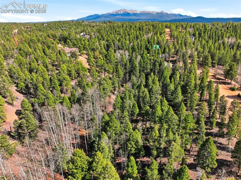 278 Cherry Lake Drive Divide, CO 80814