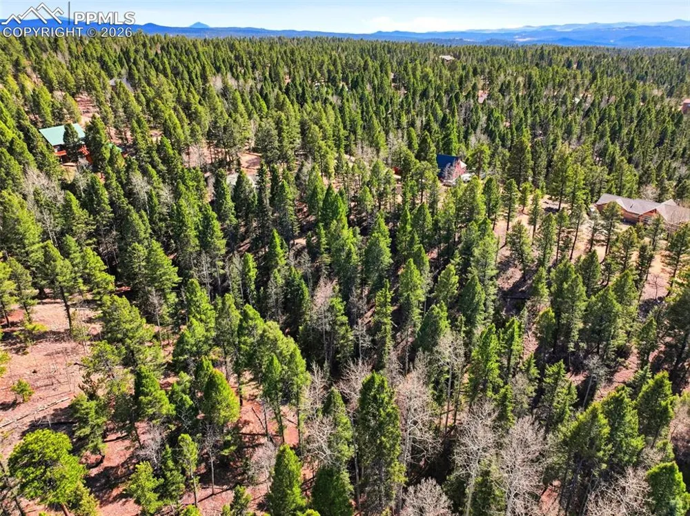 278 Cherry Lake Drive Divide, CO 80814