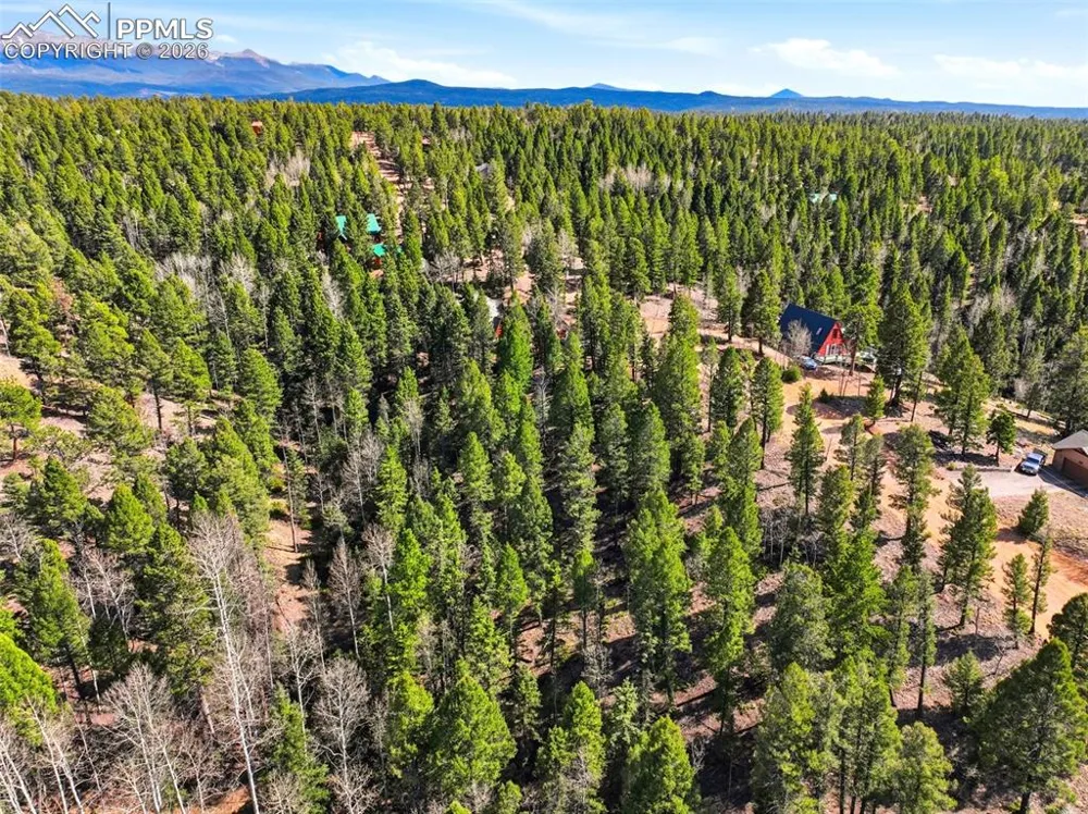 278 Cherry Lake Drive Divide, CO 80814