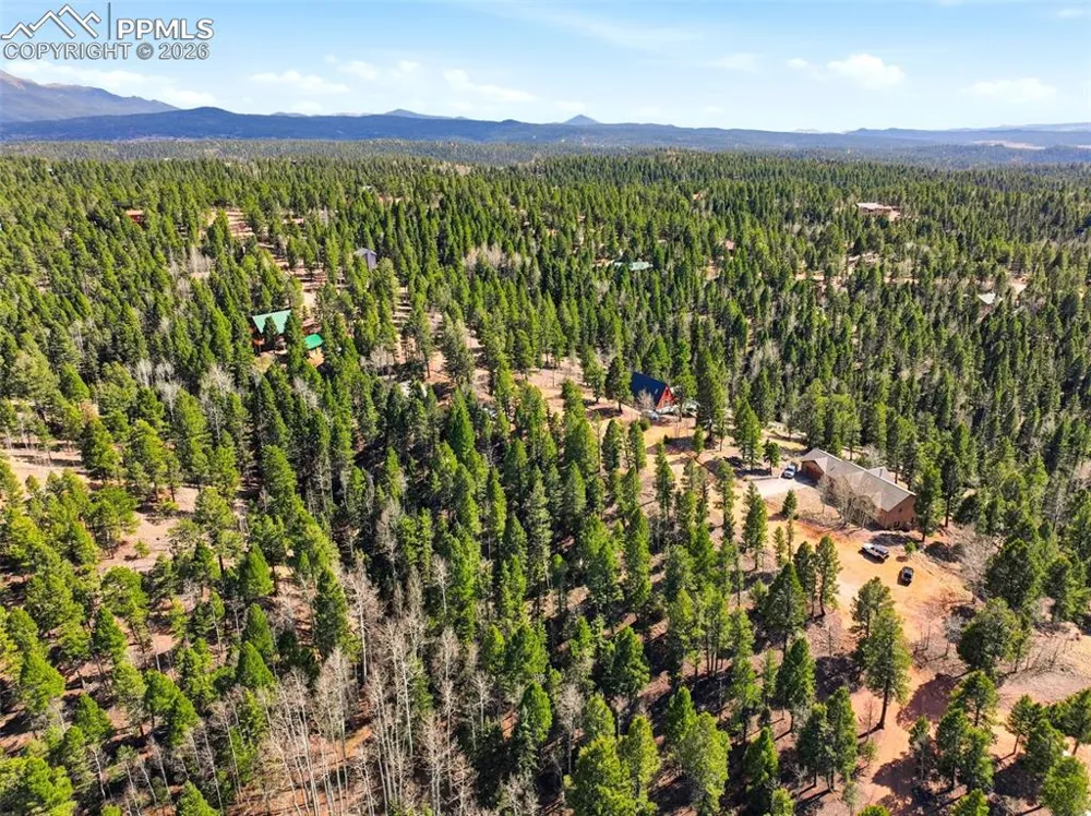 278 Cherry Lake Drive Divide, CO 80814