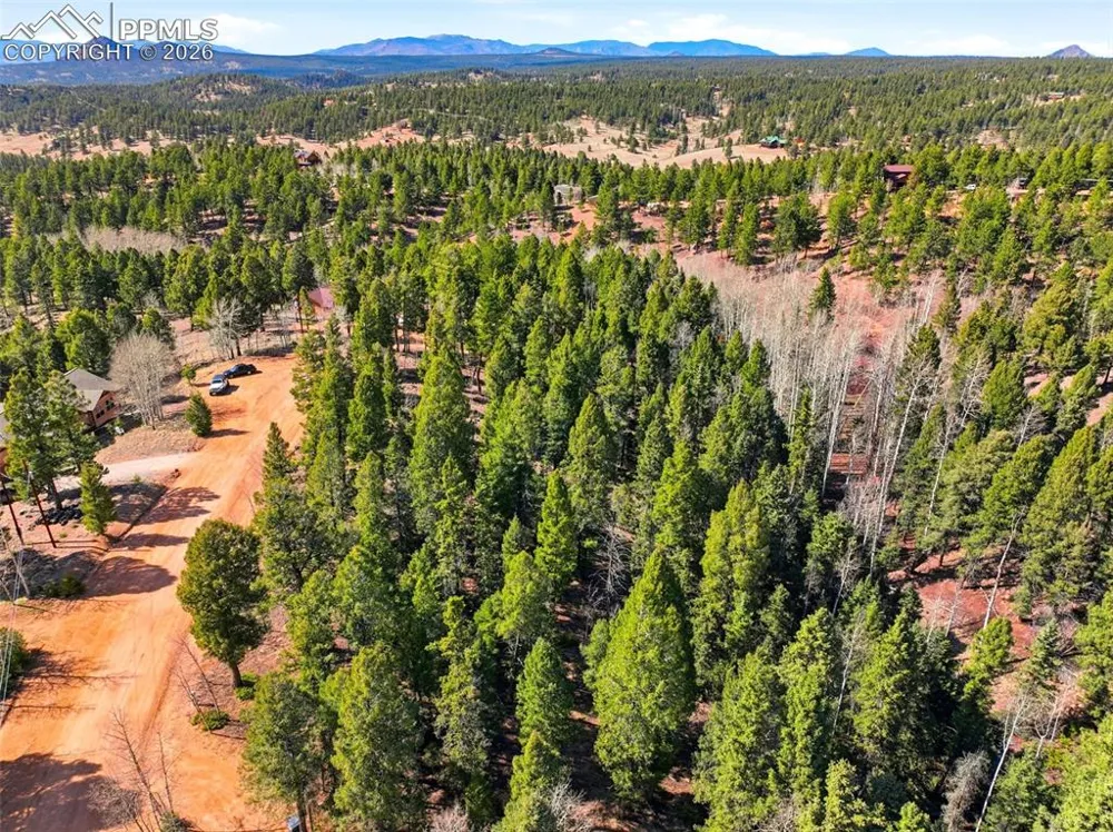 278 Cherry Lake Drive Divide, CO 80814