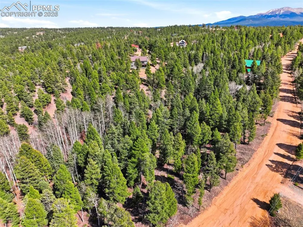 278 Cherry Lake Drive Divide, CO 80814