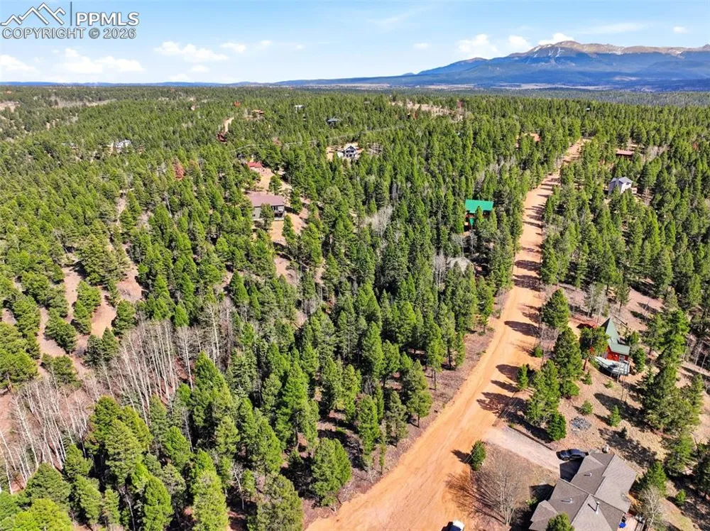 278 Cherry Lake Drive Divide, CO 80814