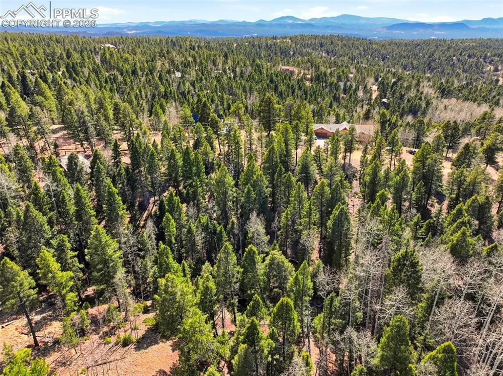 278 Cherry Lake Drive Divide, CO 80814