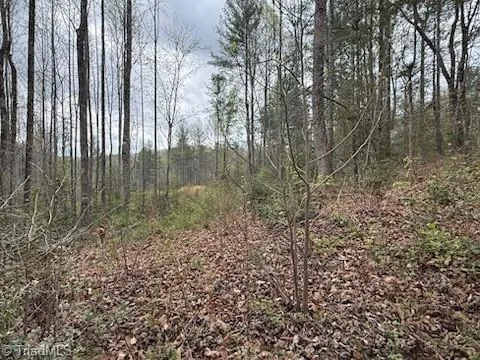TBD Hollow Springs Circle