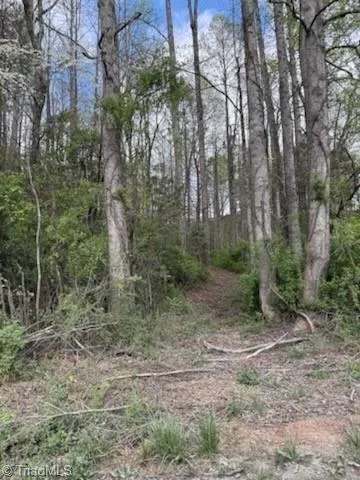 TBD Hollow Springs Circle Boomer, NC 28606