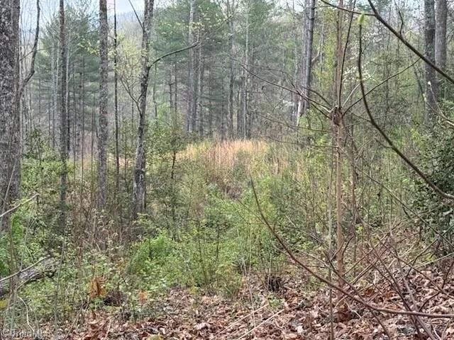 TBD Hollow Springs Circle Boomer, NC 28606