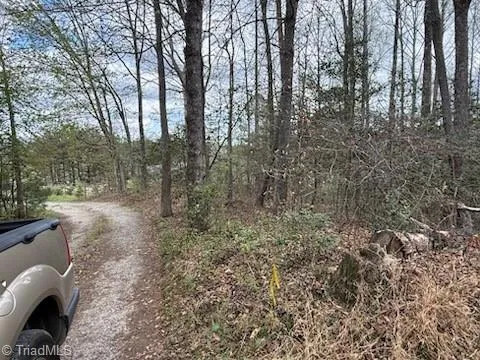 TBD Hollow Springs Circle Boomer, NC 28606