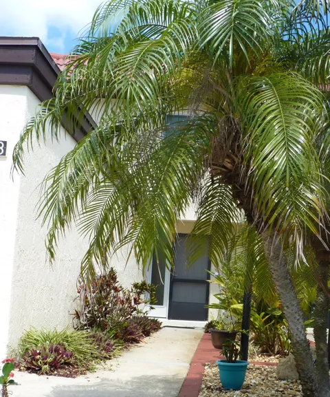8718 Bay Court
