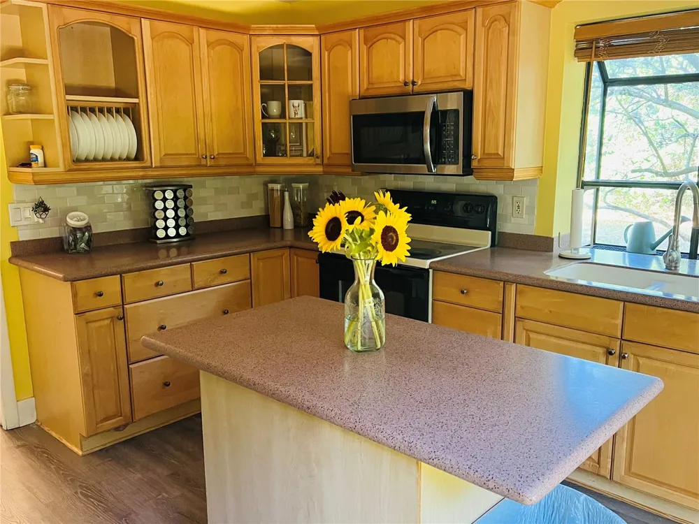 1721 LAKE CYPRESS DRIVE #2101 Safety Harbor, FL 34695