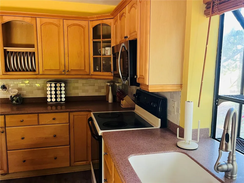 1721 LAKE CYPRESS DRIVE #2101 Safety Harbor, FL 34695