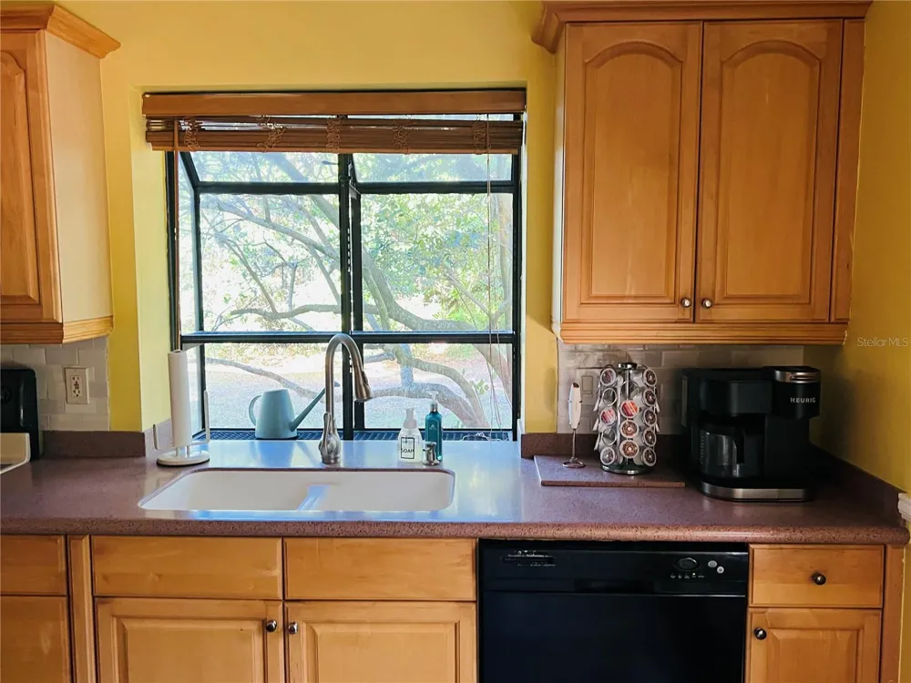 1721 LAKE CYPRESS DRIVE #2101 Safety Harbor, FL 34695