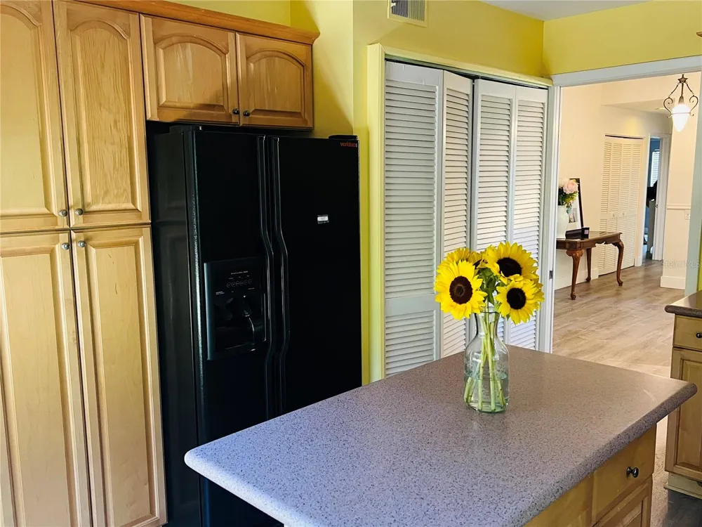 1721 LAKE CYPRESS DRIVE #2101 Safety Harbor, FL 34695