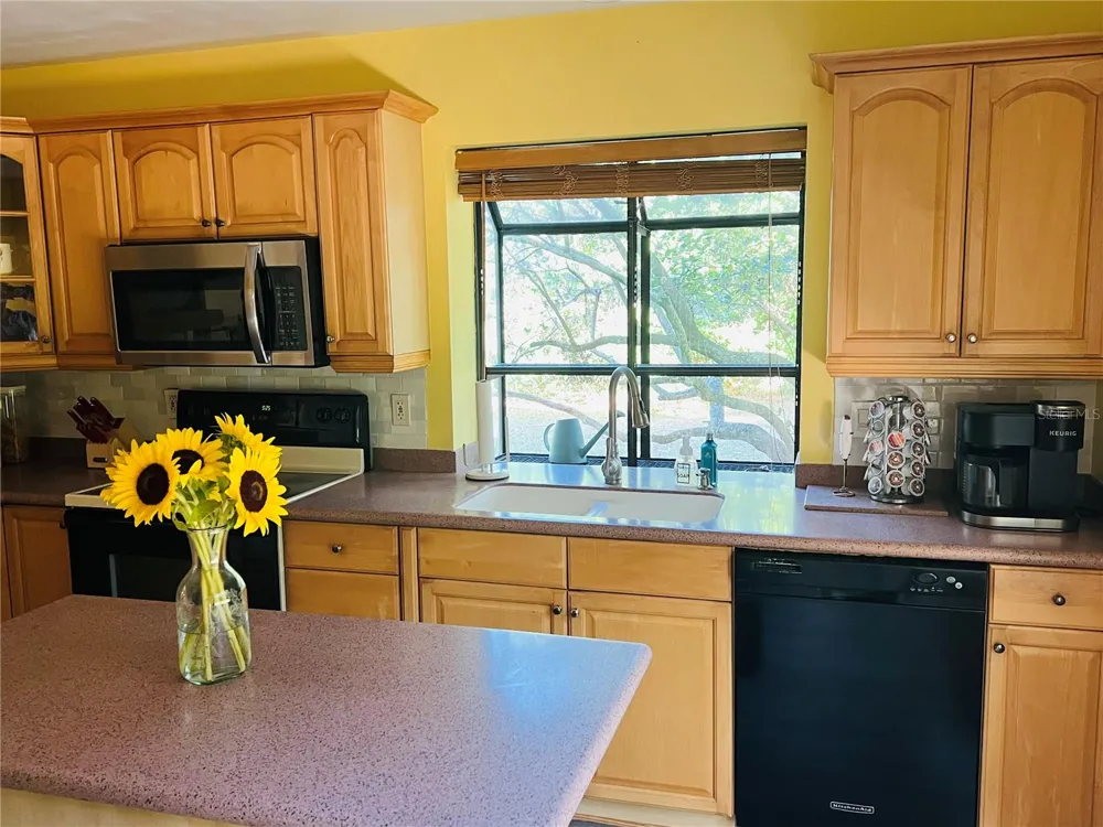 1721 LAKE CYPRESS DRIVE #2101 Safety Harbor, FL 34695