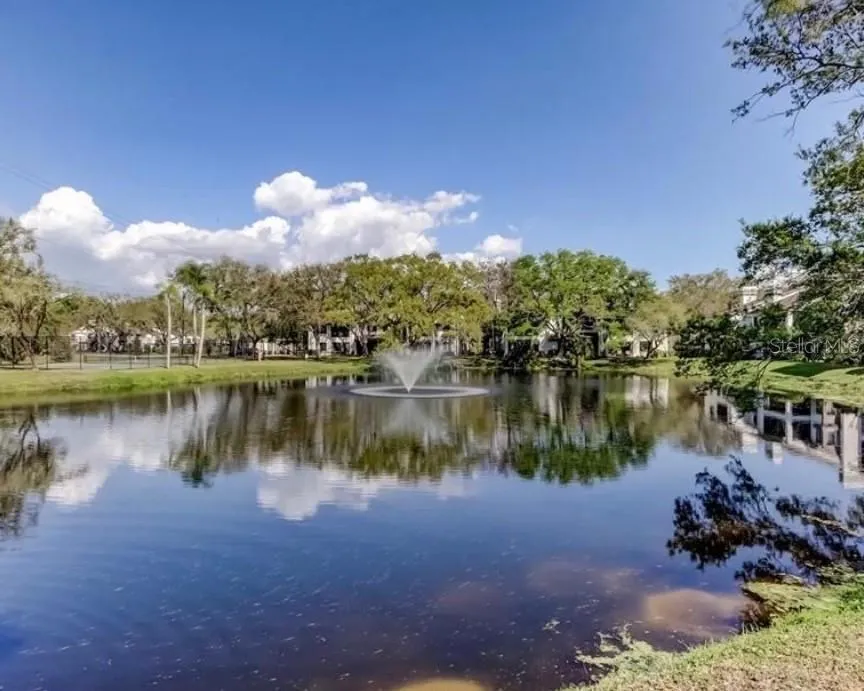 1721 LAKE CYPRESS DRIVE #2101 Safety Harbor, FL 34695