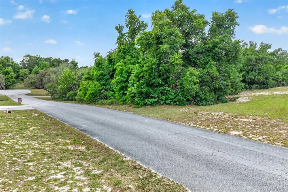 1642 S VALERIE POINT Inverness, FL 34452