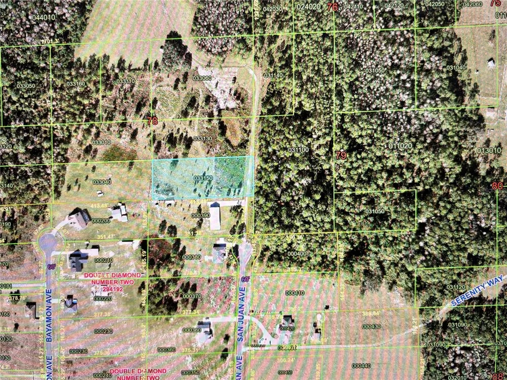 SAN JUAN AVE Polk City, FL 33868