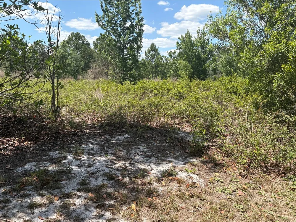 SAN JUAN AVE Polk City, FL 33868