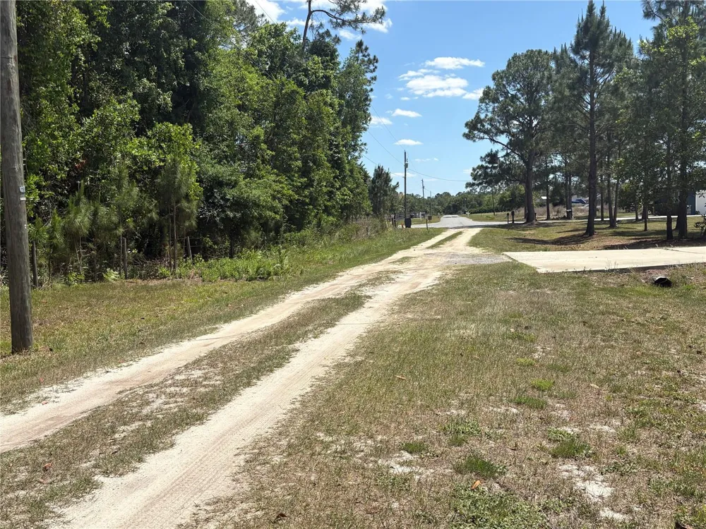SAN JUAN AVE Polk City, FL 33868