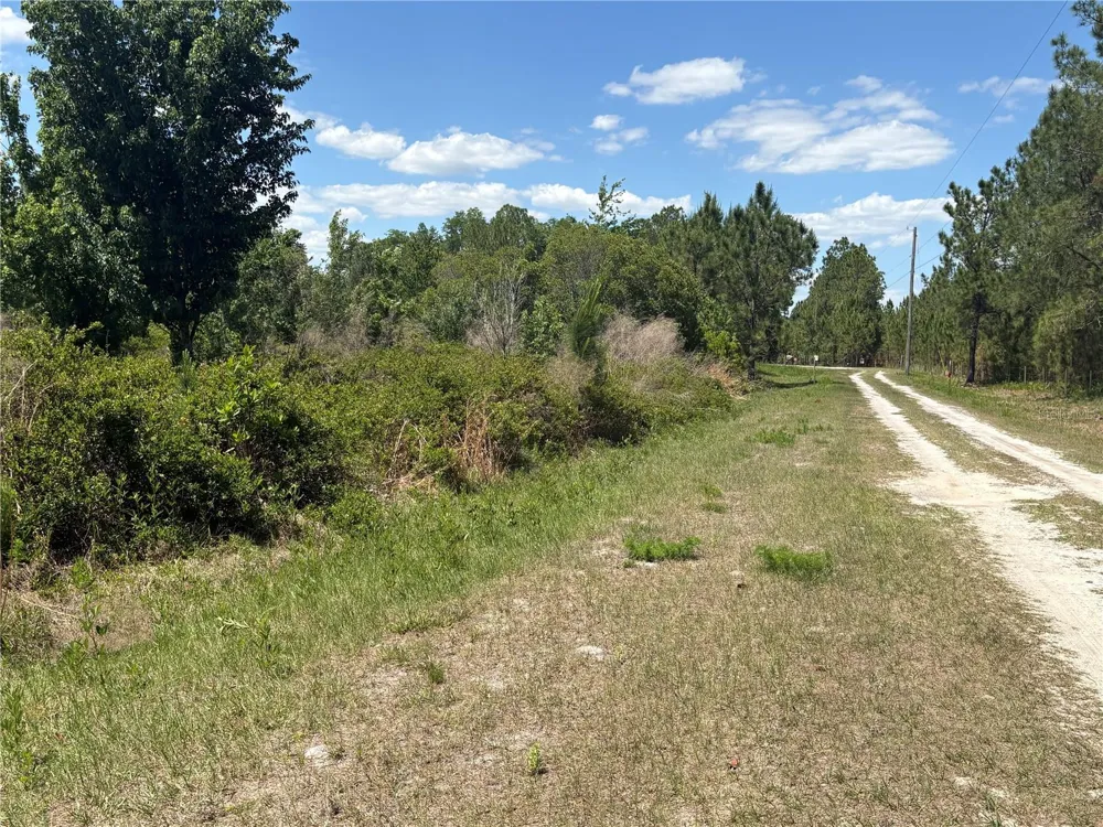 SAN JUAN AVE Polk City, FL 33868