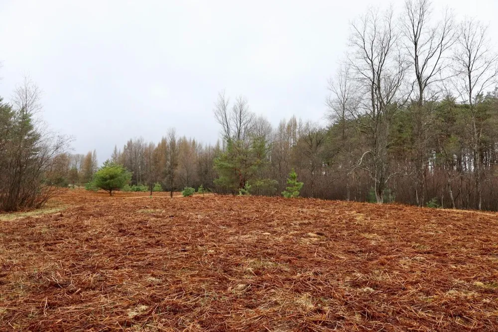 20200 Hibma Road Burdell Township, MI 49688