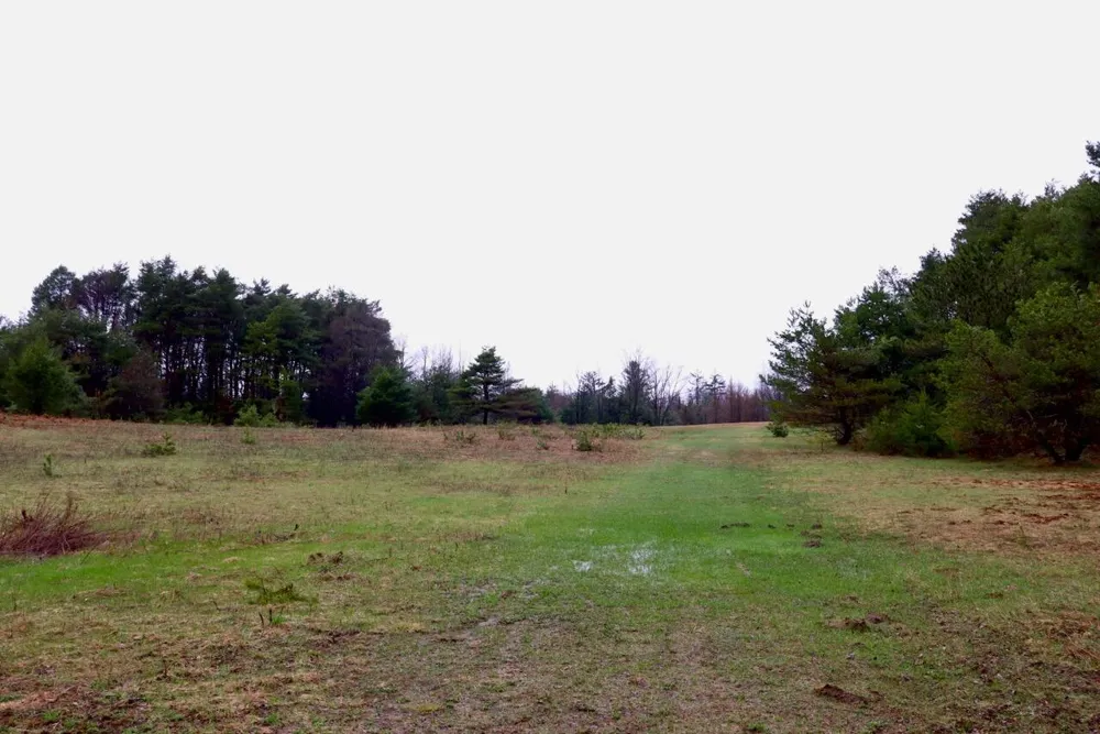20200 Hibma Road Burdell Township, MI 49688