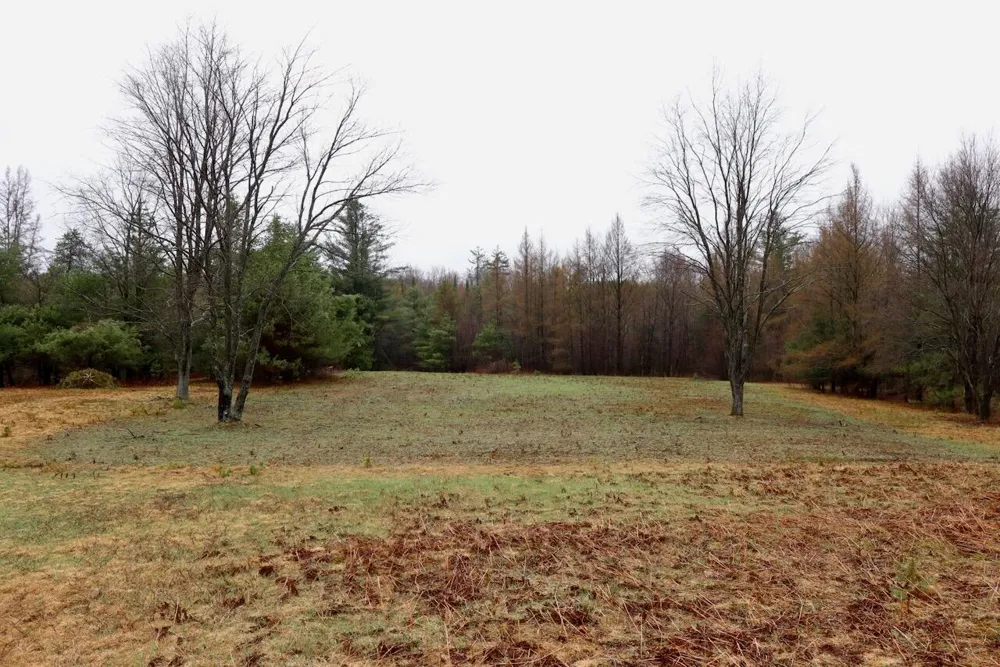 20200 Hibma Road Burdell Township, MI 49688