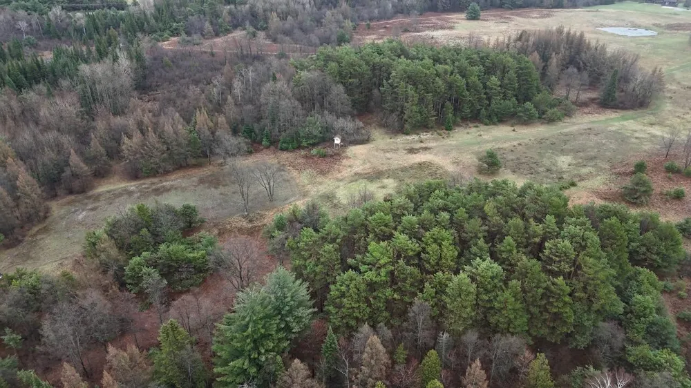 20200 Hibma Road Burdell Township, MI 49688