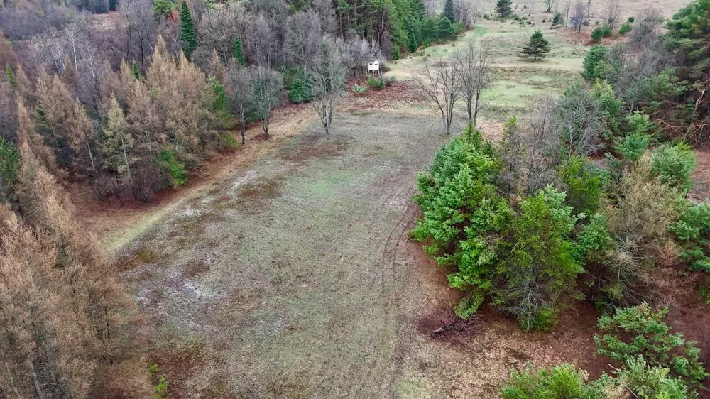 20200 Hibma Road Burdell Township, MI 49688