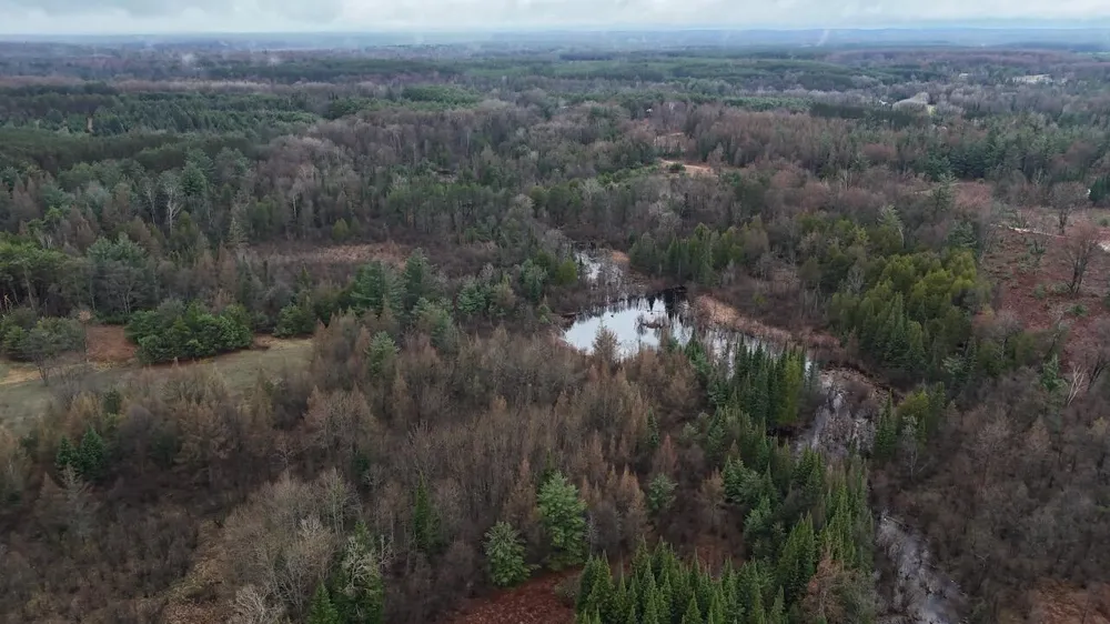 20200 Hibma Road Burdell Township, MI 49688