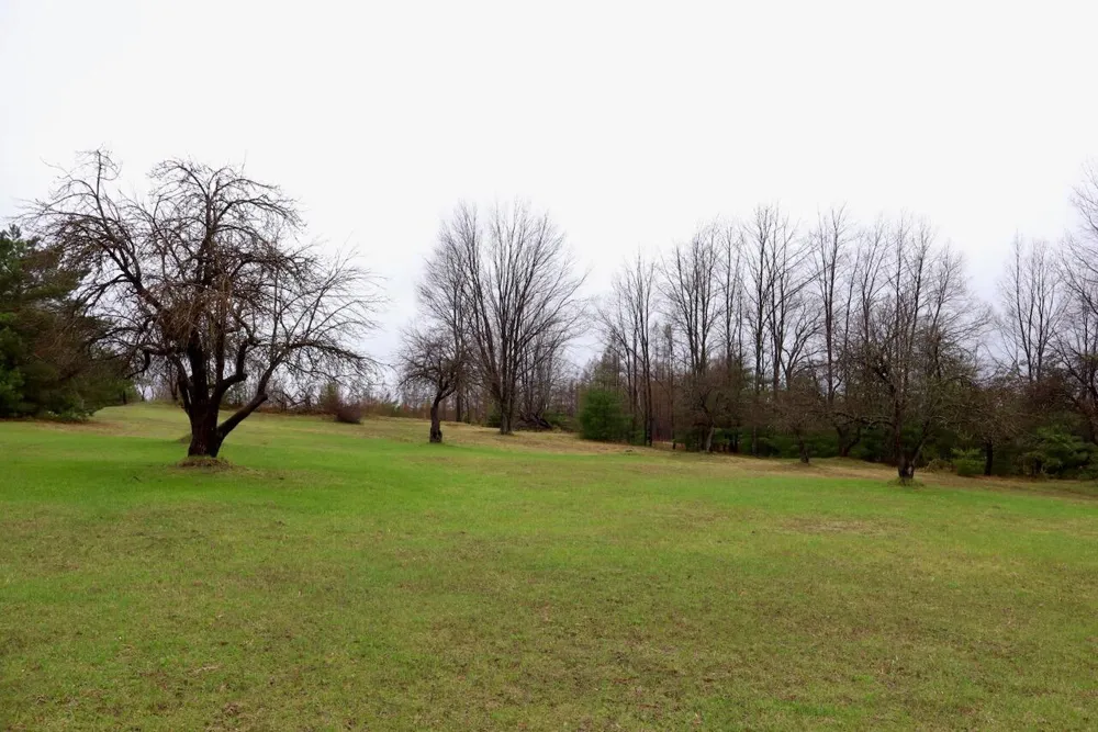 20200 Hibma Road Burdell Township, MI 49688