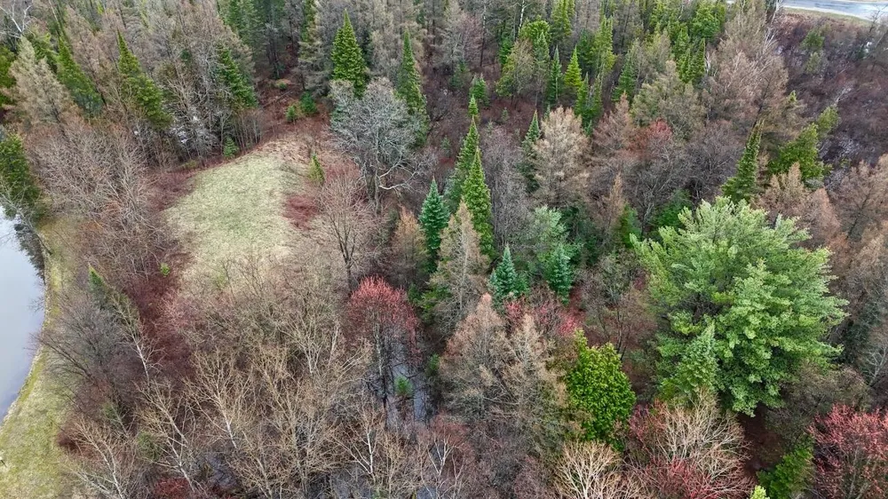 20200 Hibma Road Burdell Township, MI 49688