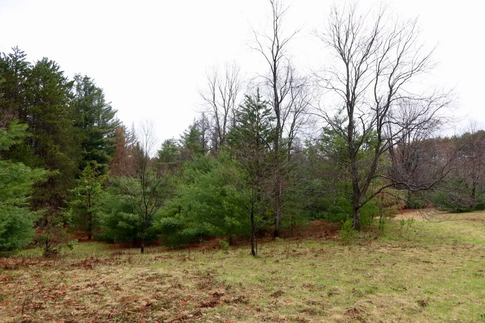 20200 Hibma Road Burdell Township, MI 49688