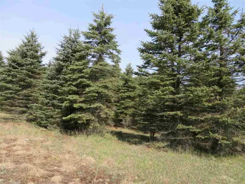 4 Spruce Hollow Trace