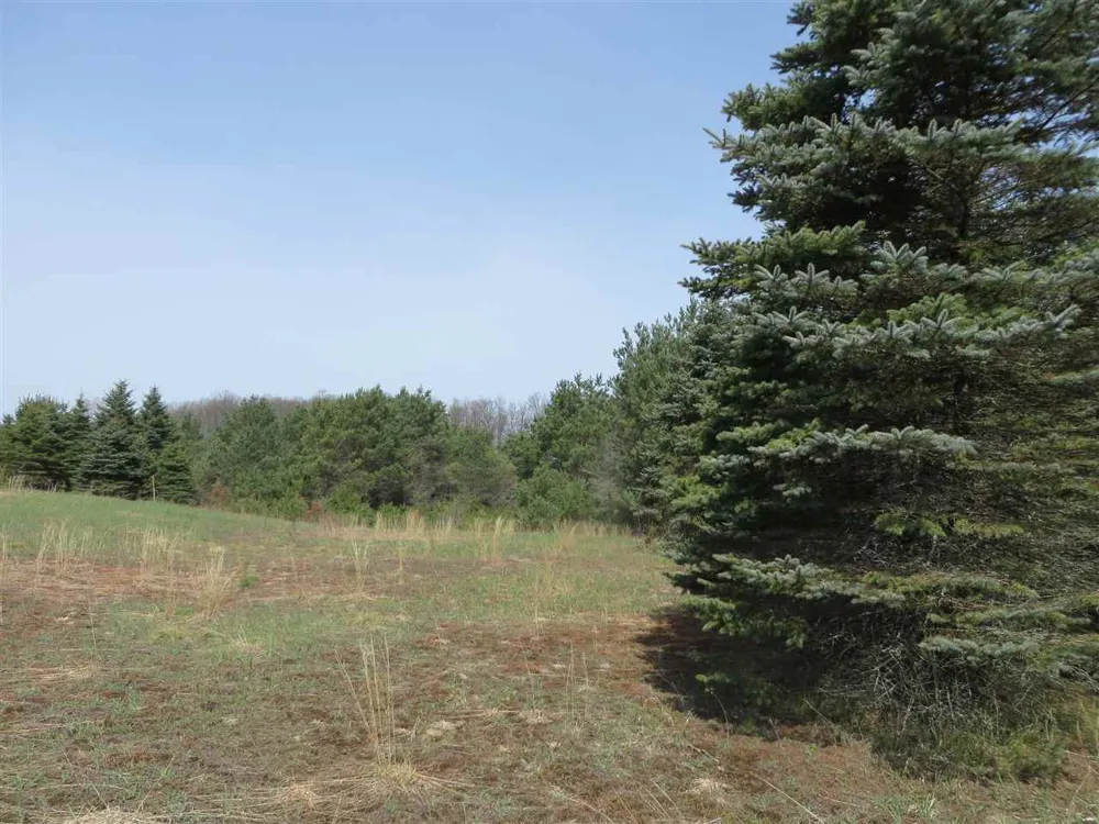 4 Spruce Hollow Trace Fife Lake Township, MI 49633