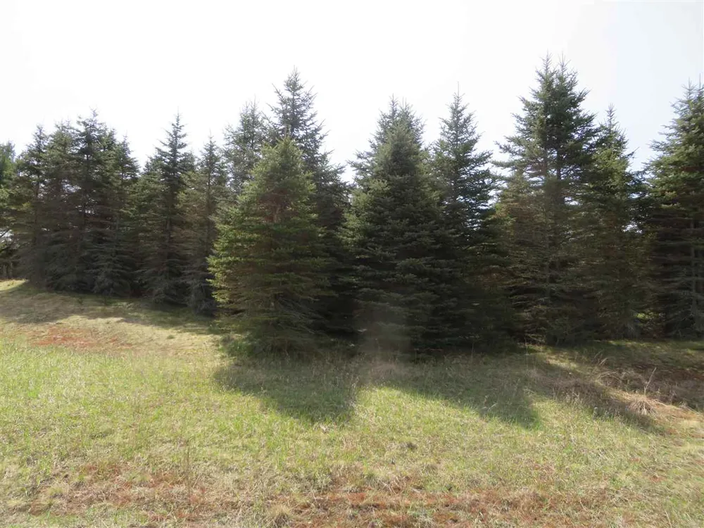4 Spruce Hollow Trace Fife Lake Township, MI 49633