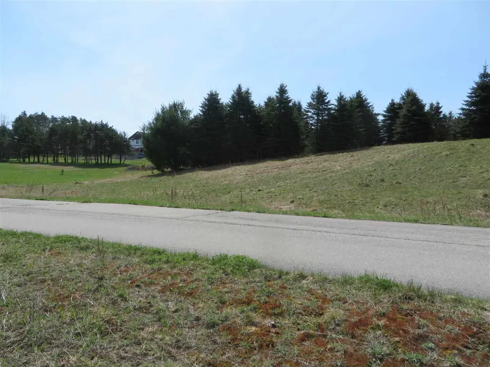 4 Spruce Hollow Trace Fife Lake Township, MI 49633