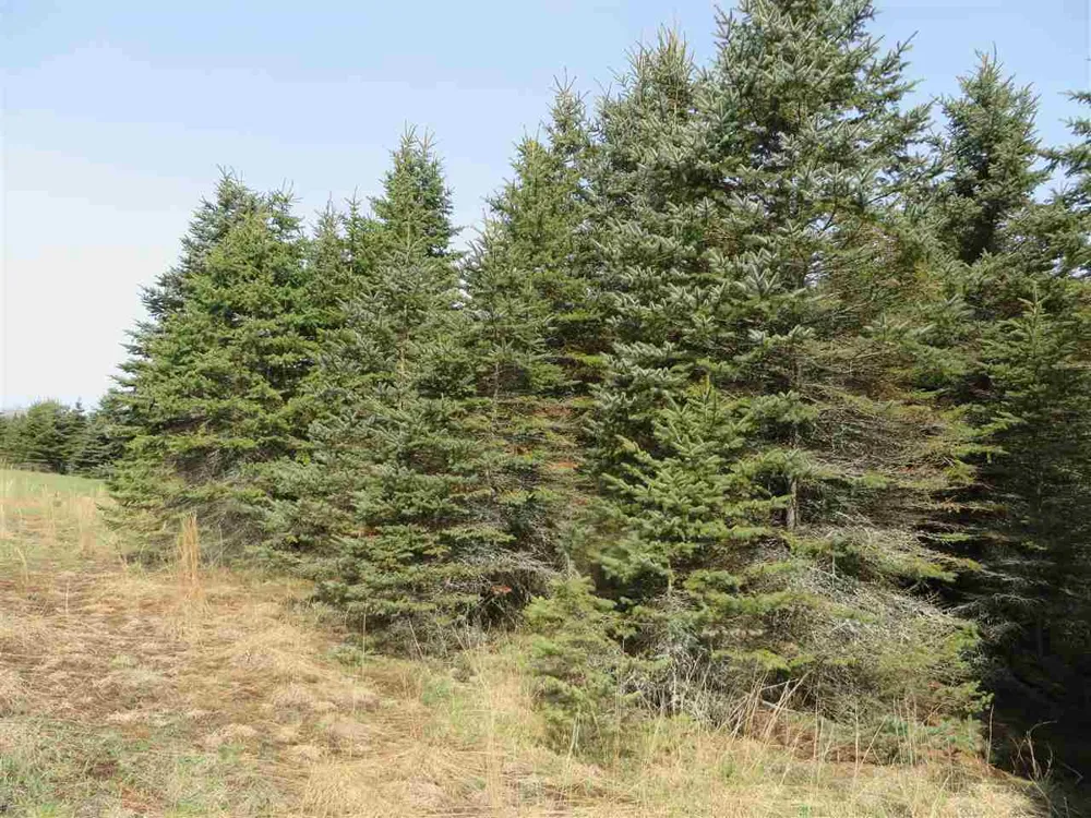 4 Spruce Hollow Trace Fife Lake Township, MI 49633