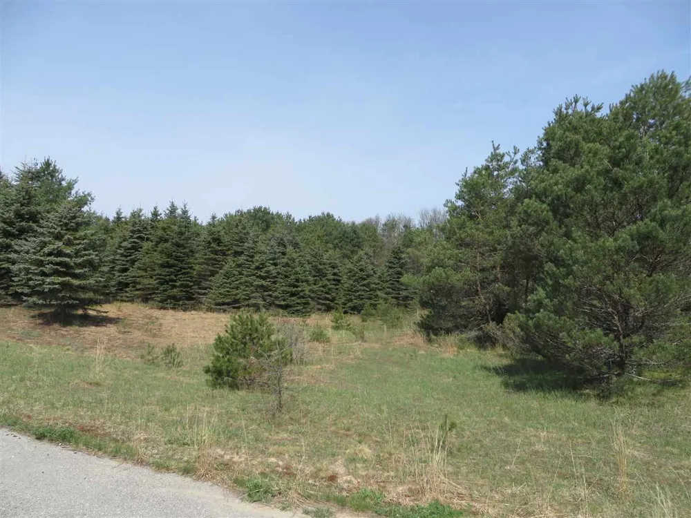 4 Spruce Hollow Trace Fife Lake Township, MI 49633