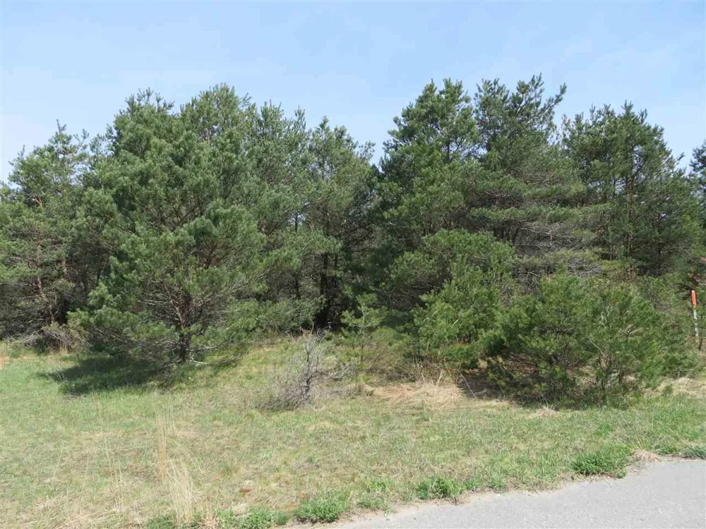4 Spruce Hollow Trace Fife Lake Township, MI 49633