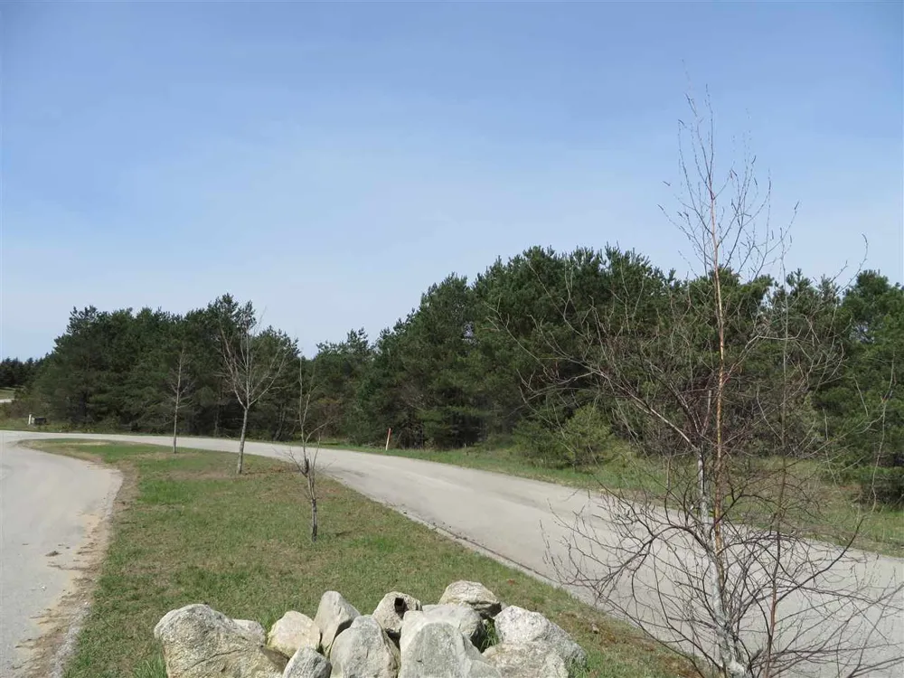 4 Spruce Hollow Trace Fife Lake Township, MI 49633