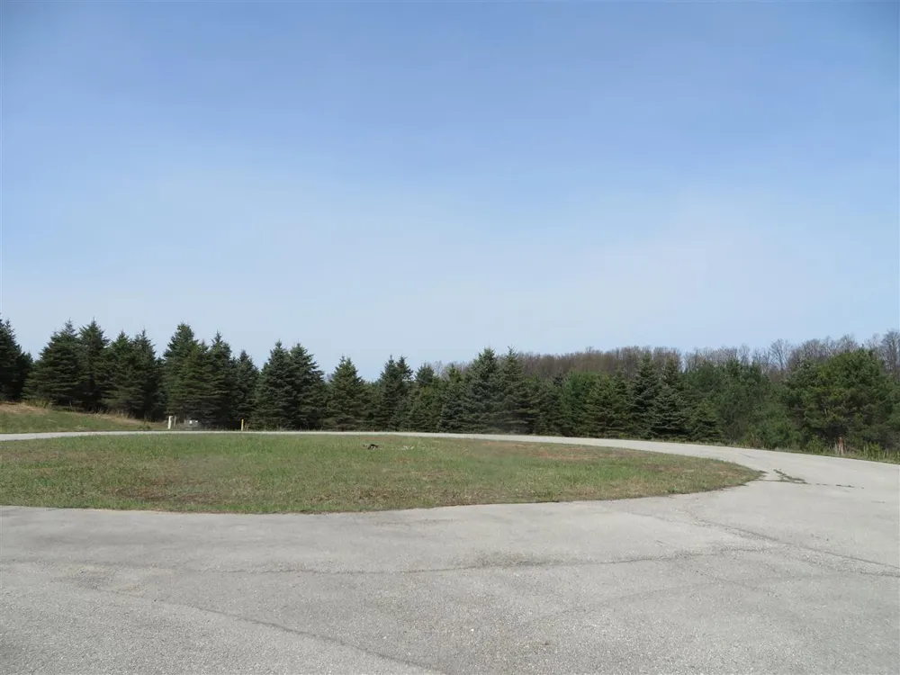 4 Spruce Hollow Trace Fife Lake Township, MI 49633