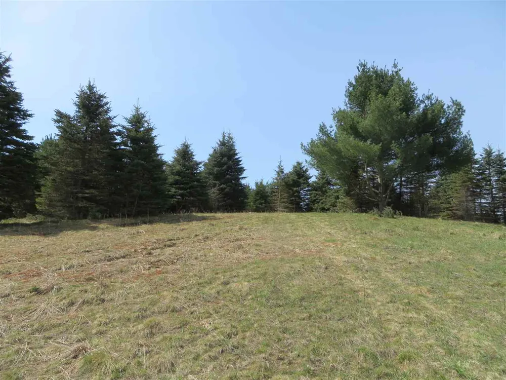 4 Spruce Hollow Trace Fife Lake Township, MI 49633
